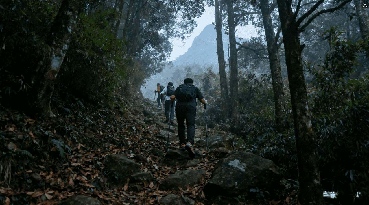 飞机加速器在机场中的应用技术及发展前景分析
